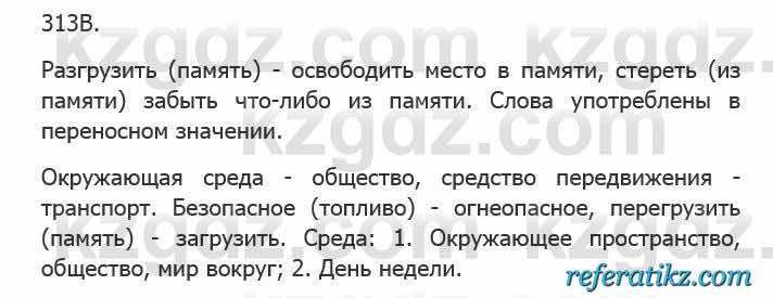 Русский язык Сабитова 5 класс 2017 Упражнение 313В