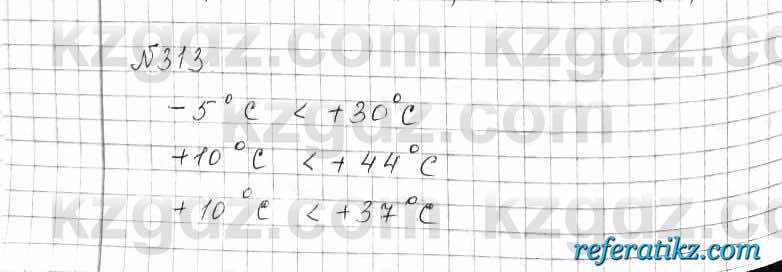 Математика Алдамуратова 6 класс 2018  Упражнение 313