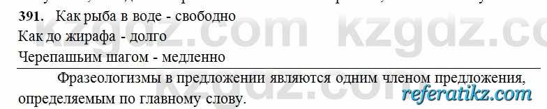 Русский язык Сабитова 6 класс 2018  Упражнение 391